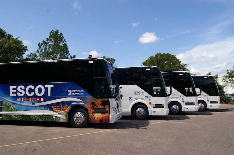 Press release For immediate rele